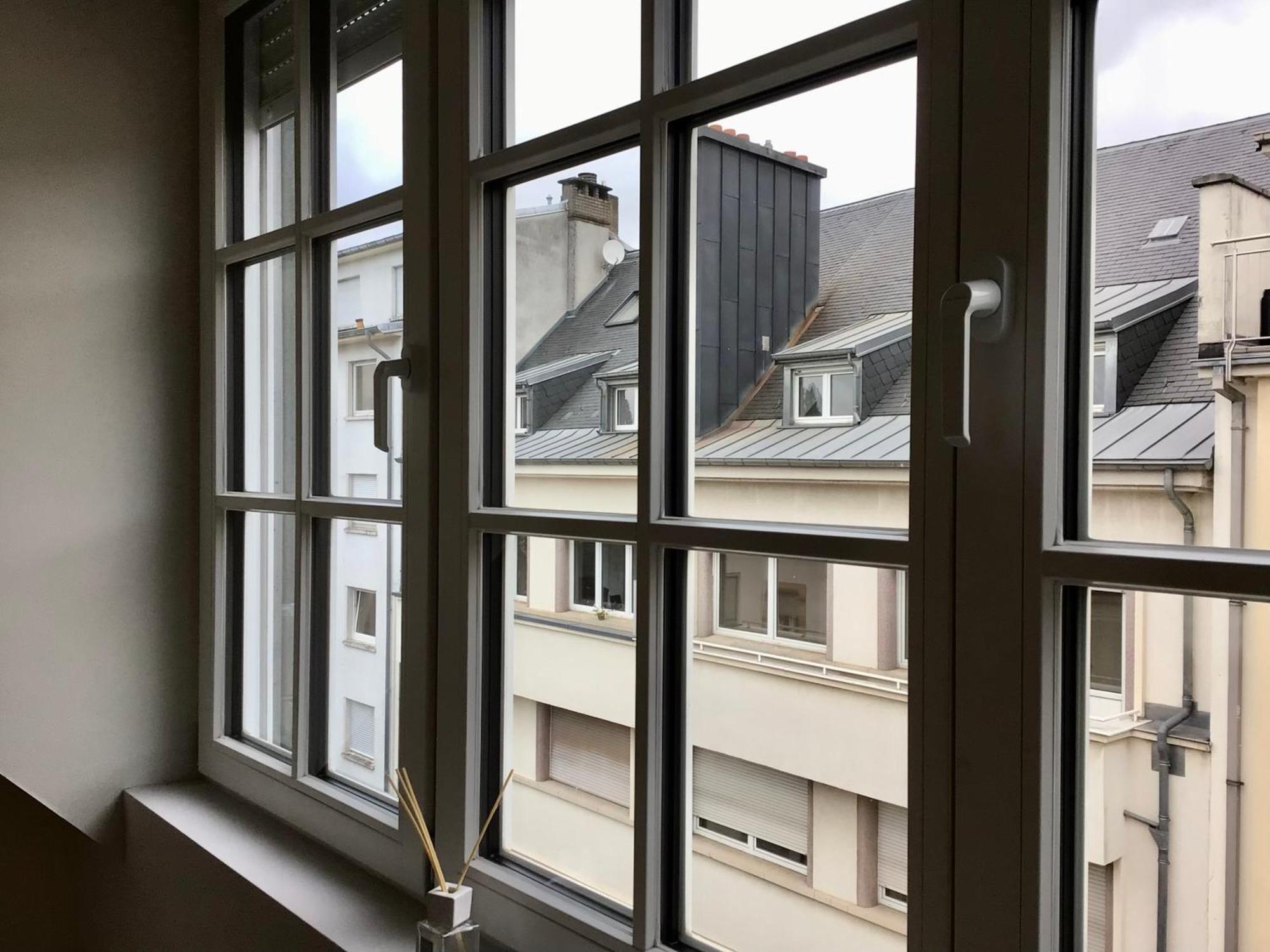 Appartement Petrusse Elite *